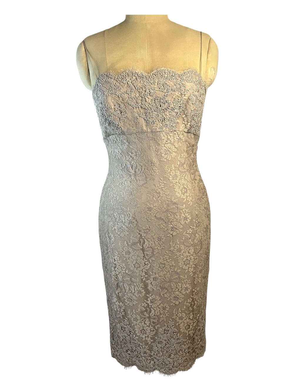 Carmen Marc Valvo Signature  Lace Bodycon  Dress in Champagne
